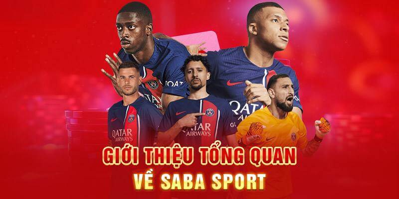 Khái quát chung về sảnh Saba